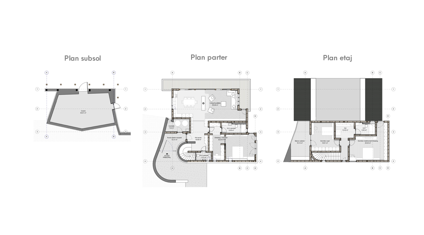 Proiect de casa cu structura de lemn unifamiliala Moara Vlasiei