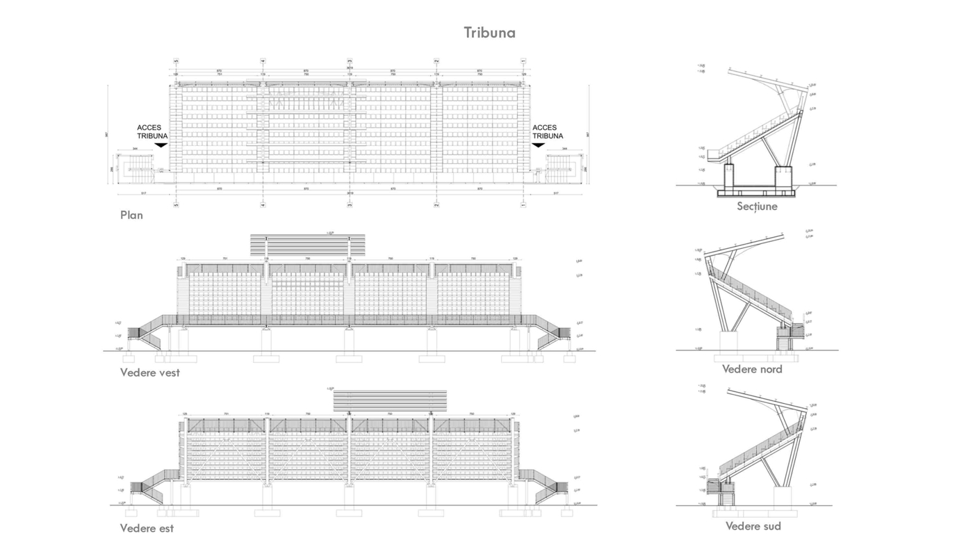 Vederile tribunei stadionului Dragoslavele