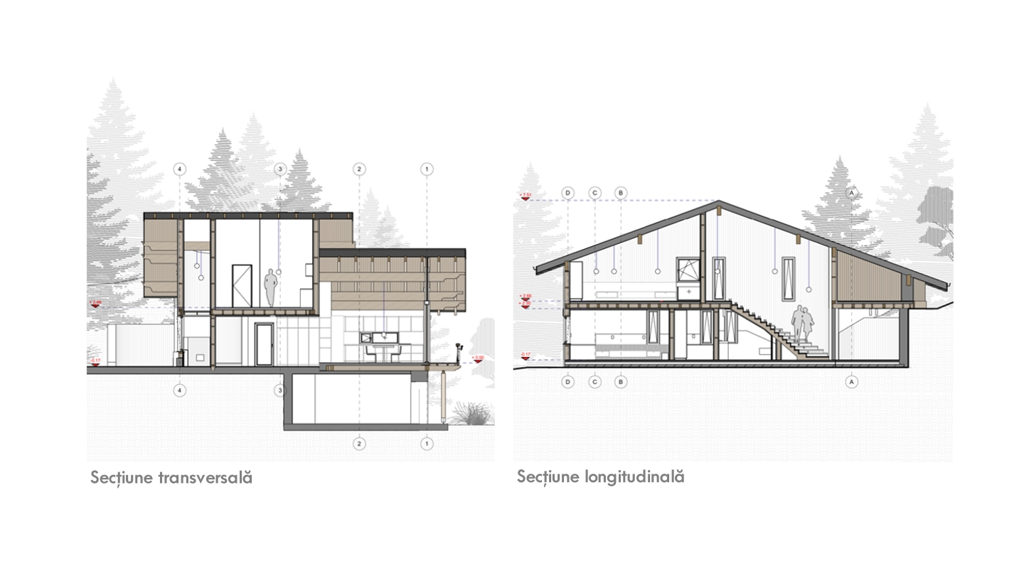 Proiect de casa cu structura de lemn unifamiliala Moara Vlasiei