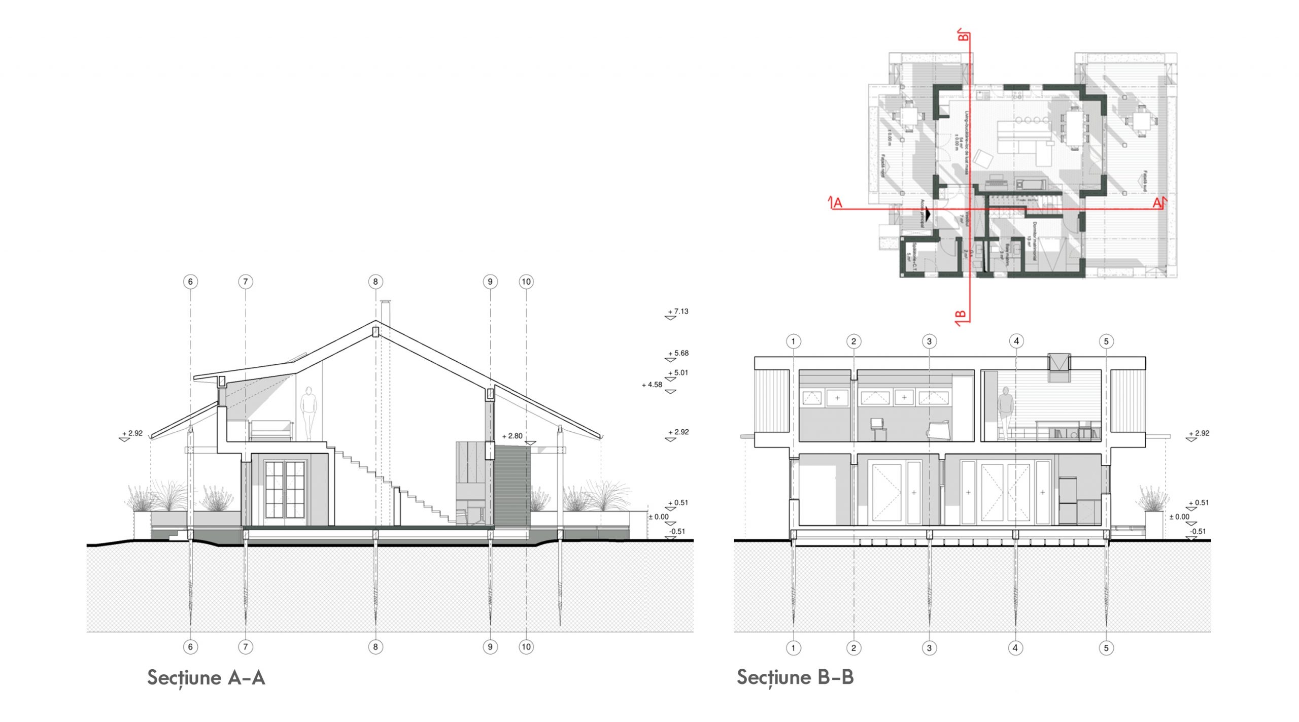 Proiect de arhitectura casa din lemn Moara Vlasiei